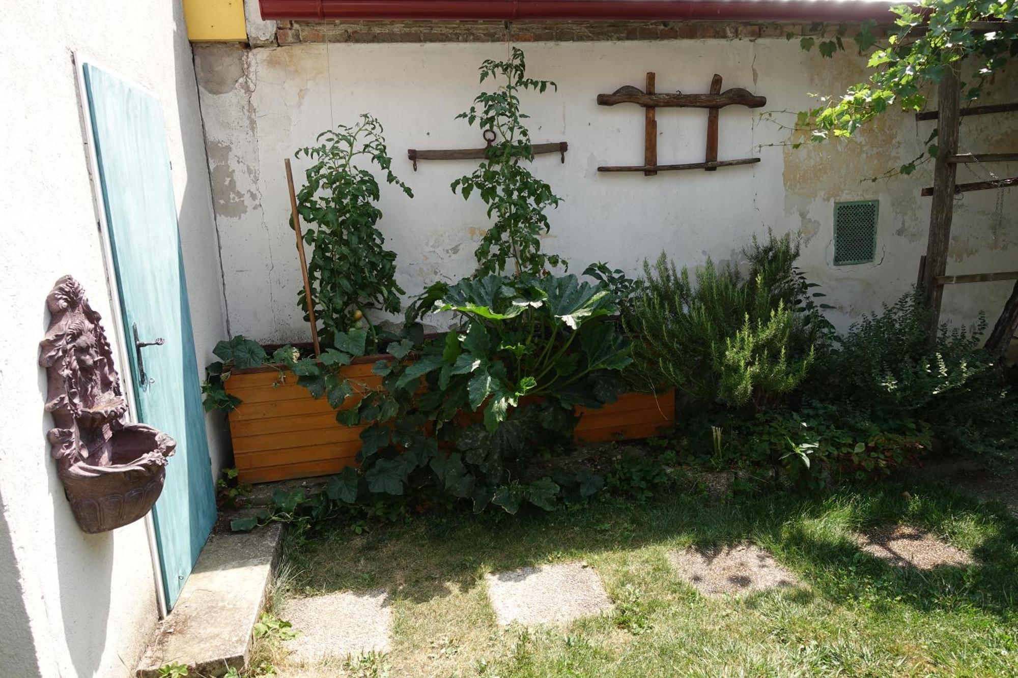 Alla Kittsee Exterior foto